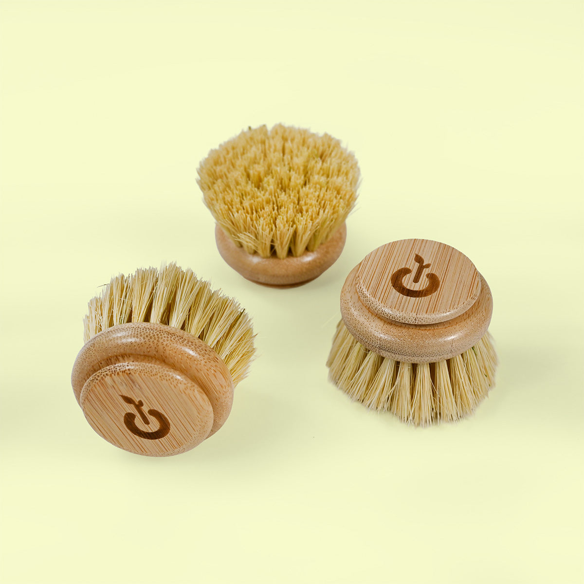 EcoGeek Long-Handle Replacement Scrubber