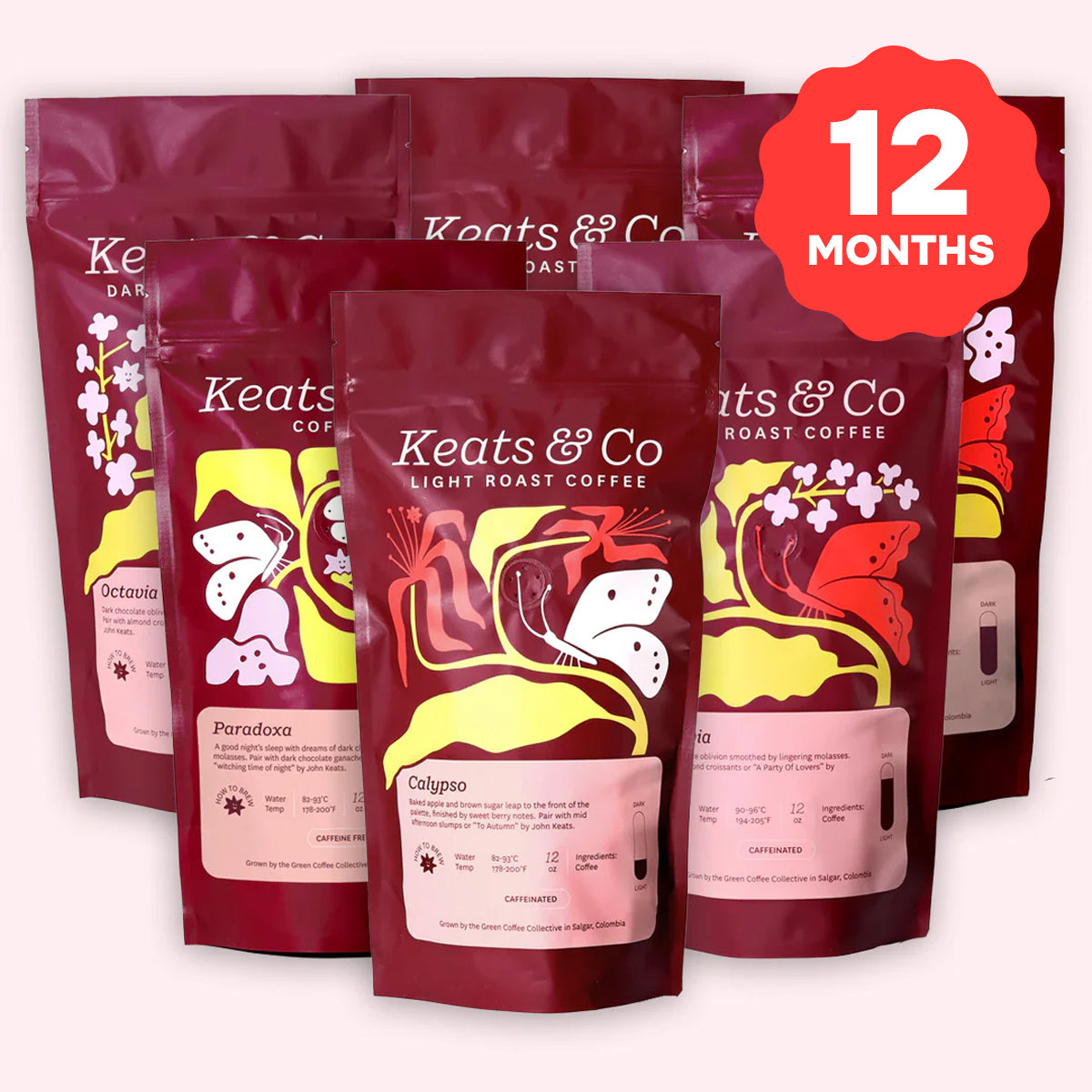 Coffee Quest Collective - 12 Months