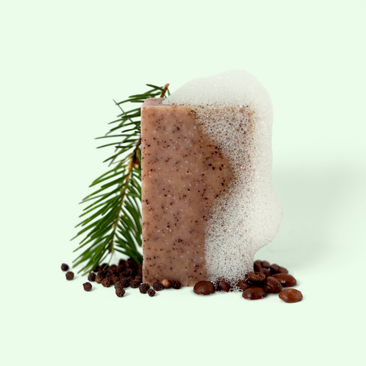 A rectangular block of speckled brown Forager soap partially covered in white foam. A pine branch is placed to the left of the soap. At the base of the soap are scattered coffee beans and peppercorns. The soap is set against a light background. Sun Basin Soap- Good Store.