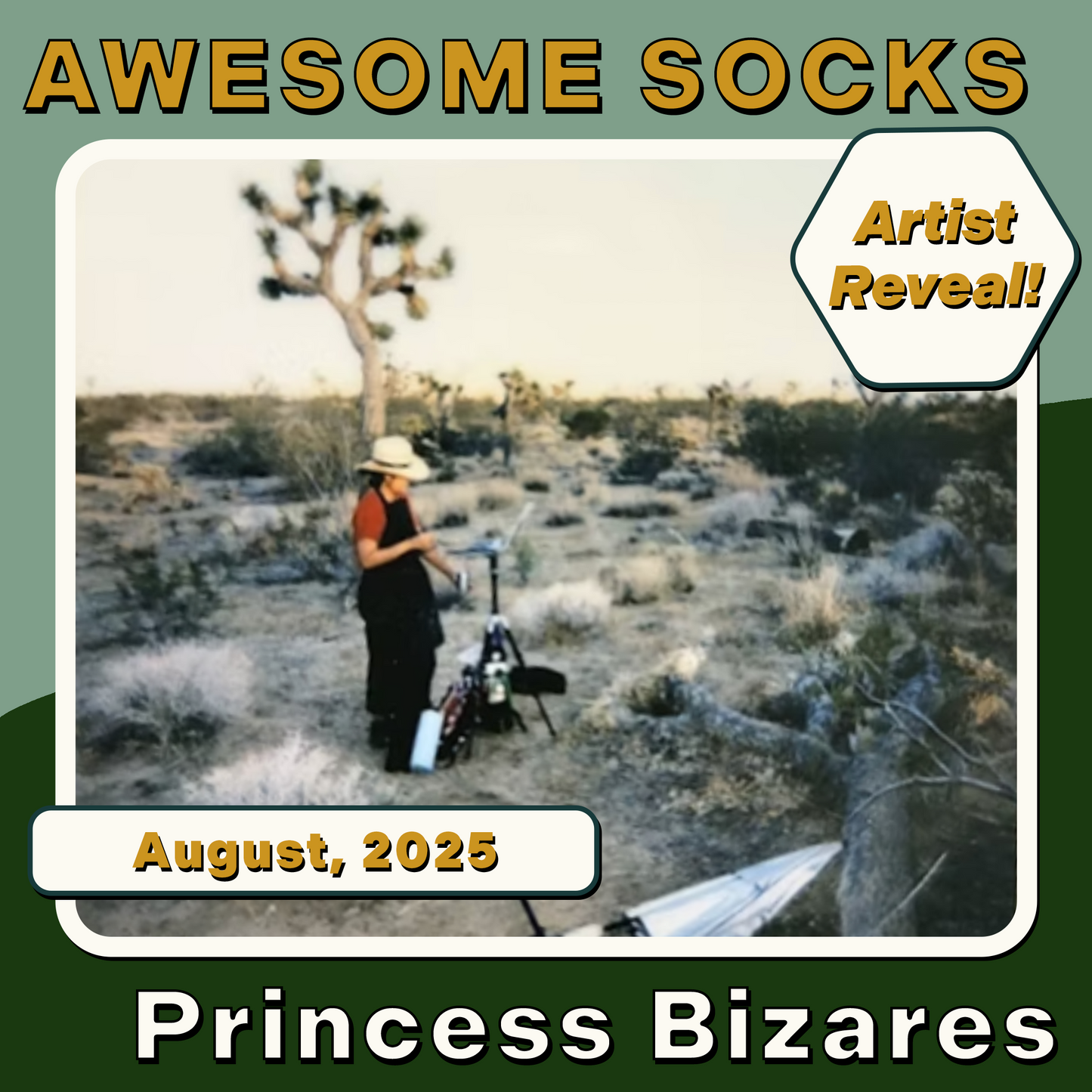 Awesome Socks Club Subscription