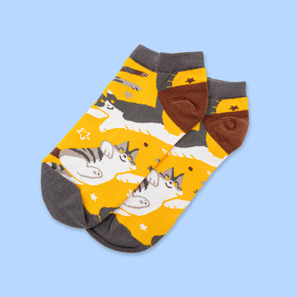 Pair of ankle socks with cat pattern on a blue background