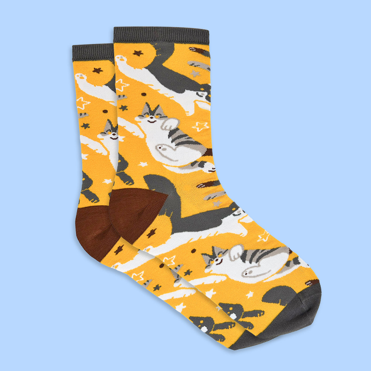 Socks with cat pattern on a blue background