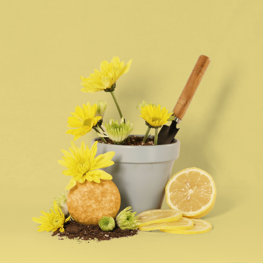 A pot of soil with yellow flowers and a small shovel sticking out of the top. Next to the pot is a sliced lemon and the Bloom Shampoo Bar covered in flowers. A Good Store product. 