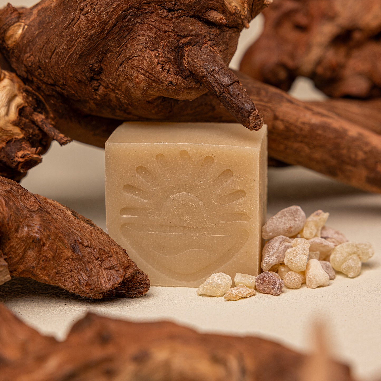 A rectangular bar of natural soap with a sun and wave motif embossed on the front, styled with dried brown roots and small pale stones on a neutral surface.