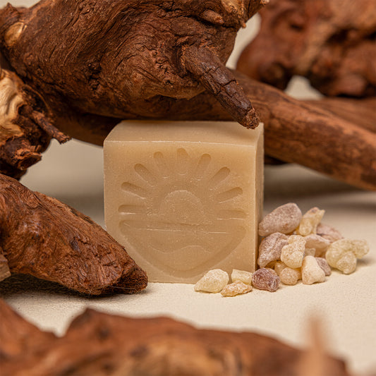 A rectangular bar of natural soap with a sun and wave motif embossed on the front, styled with dried brown roots and small pale stones on a neutral surface.