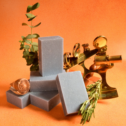Five blue bars of soap are stacked on top of each other with a spring of rosemary and eucalyptus, a shell and a golden navigator resting next to them. The bars of soap are in front of a bright orange background. The Navigator soap from Sun Basin Soap. A Good Store subscription.