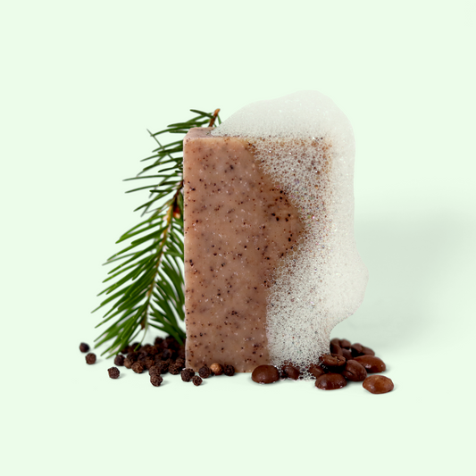 A rectangular block of speckled brown Forager soap partially covered in white foam. A pine branch is placed to the left of the soap. At the base of the soap are scattered coffee beans and peppercorns. The soap is set against a light background. Sun Basin Soap- Good Store. 