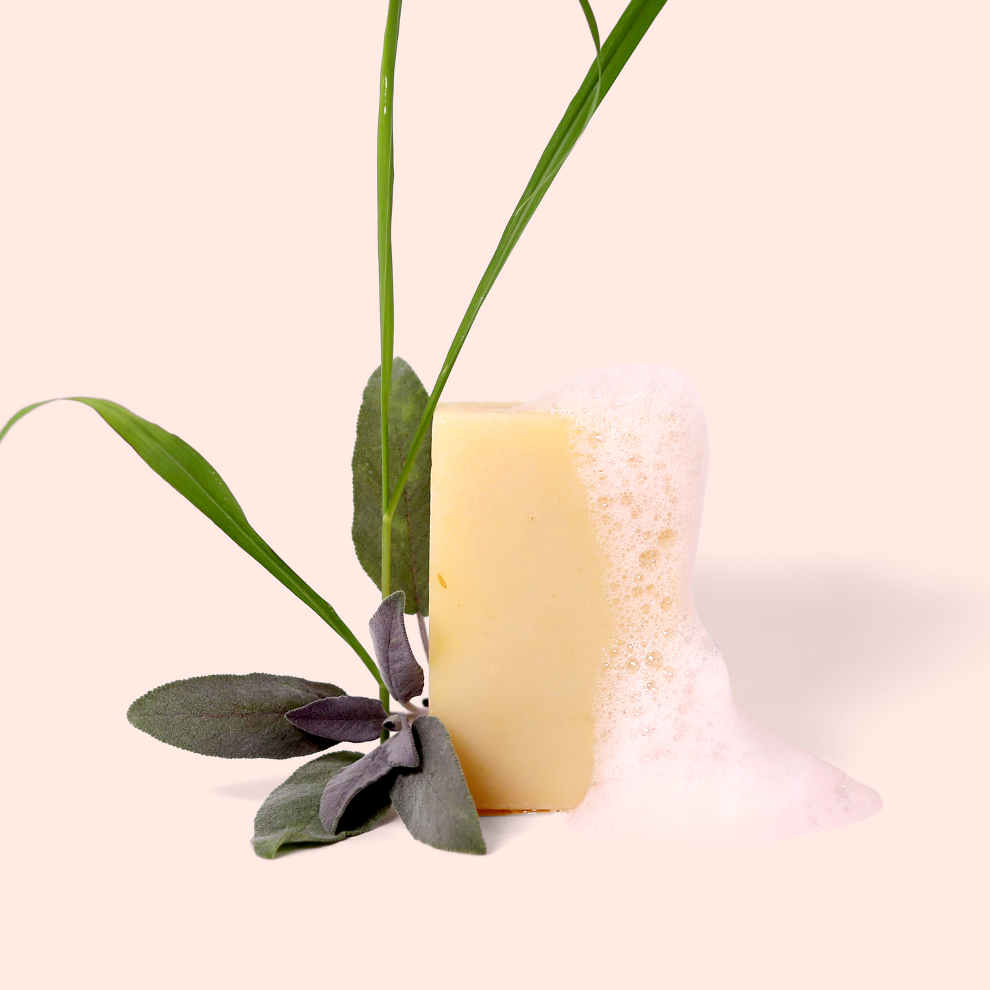 A pale yellow rectangular soap bar partially covered in foam, with green grass-like leaves and sage leaves arranged beside it. Set against a light pink background. Sun Basin Soap - Good Store.