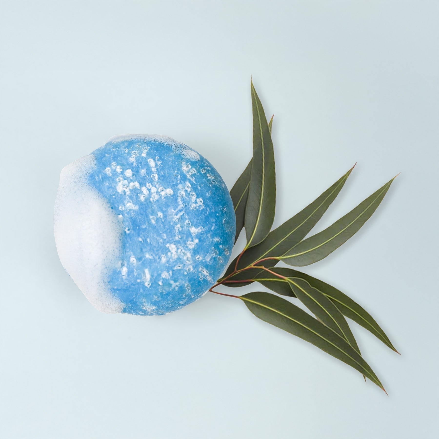 A round blue shampoo bar topped with white soap suds, paired with a small cluster of fresh eucalyptus tea tree leaves, set against a light blue background.