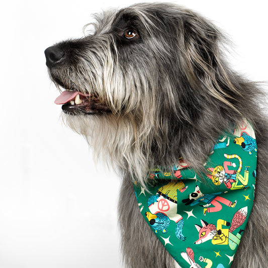 A long-haired gray and white dog shown in profile wearing a green bandana with a colorful cartoon print, photographed against a plain white background.